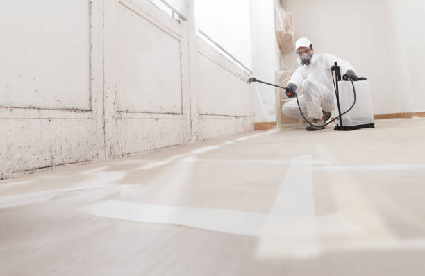 24/7 Emergency Crawl Space Mold Removal experts in Katy, TX